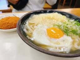 きっちょううどん 橘通店