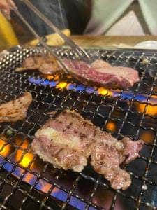 ホルモン酒場 升屋