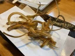 天ぷら割烹 天正