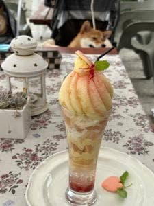 Cafe Garden Pot