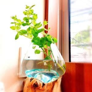An Room Cafe
