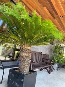 OCgarden