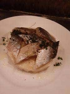 vivo daily stand ビーボデイリースタンド