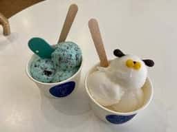 gelateria Toc tooc 鎌倉店