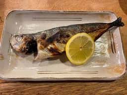 由紀