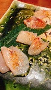 魚魯魚魯