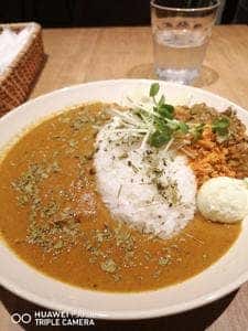 BIN CURRY