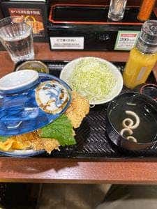 別館 とんかつわか葉