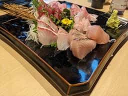 鮮魚 地酒 肴 魚晴