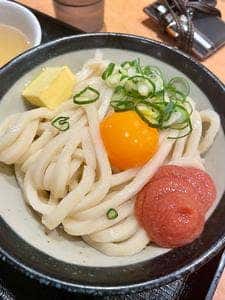 日本橋 讃岐うどん ほし野