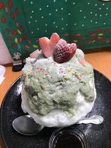 蔦のない店