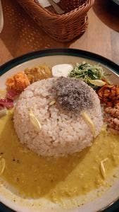 カレー屋moritoneri