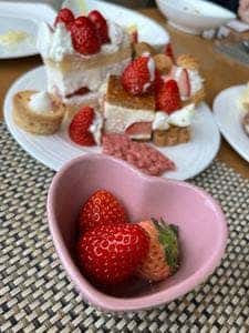 シースケープ テラス・ダイニング ヒルトン東京お台場