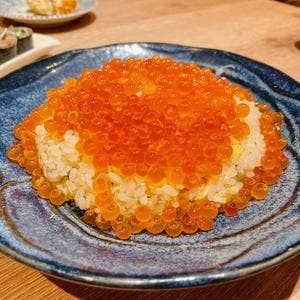 となりのしんぽ