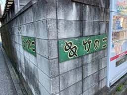 竹のこ