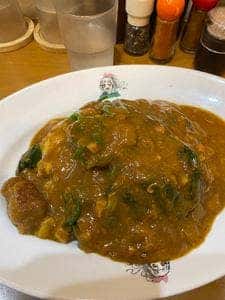 日乃屋カレー 秋葉原店
