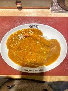 旨辛カレー専門店 白洋亭 ヨドバシAkiba