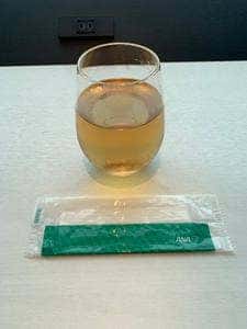 羽田空港 ANA LOUNGE 本館南
