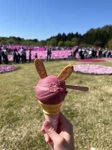 ピーターラビットカフェ 富士本栖リゾート