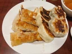 餃子専門店 藤井屋