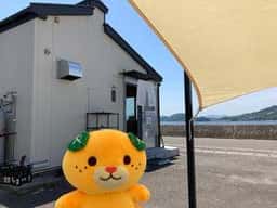 島うどん