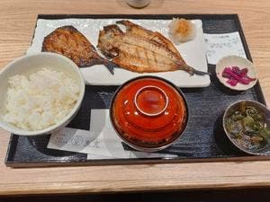 魚恵