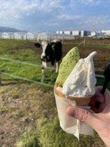 石田牧場のジェラート屋 めぐり