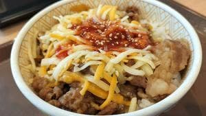 すき家 331号南城店