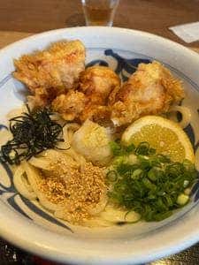 とり天ぶっかけと鴨釜うどん 麺匠 やしま