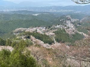 花矢倉展望台 子守茶屋