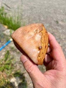 KOPE.SCONE