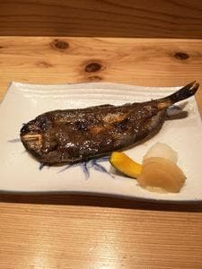 ヨイノフネ