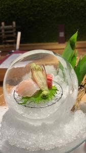銀座 幸の羽