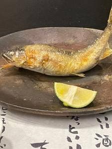 炭火割烹 麻布龍土町