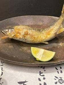 炭火割烹 麻布龍土町