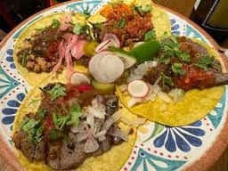 Molé TAQUERIA Y BAR