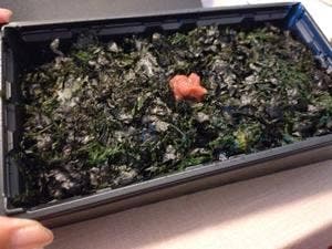 山本山 ふじヱ茶房