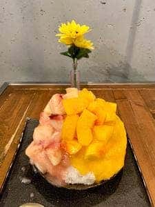 TokyoShaveIce ネコゴオリ