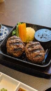 ハンバーグ かしわ野