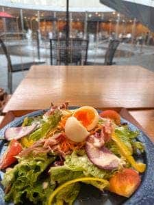 カーブドッチ迎賓館