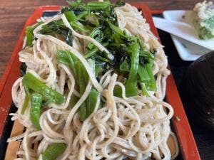 そば処 やまもと