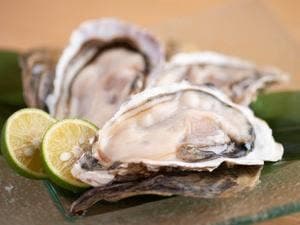 旬菜酒楽 こころ