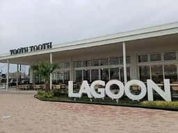 LAGOON TOOTH TOOTH