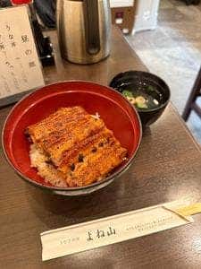 うなぎ料理 よね山