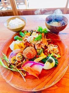 ドライブイン茂木 ひのくも