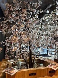 Café Hanamori 越谷弥生町店
