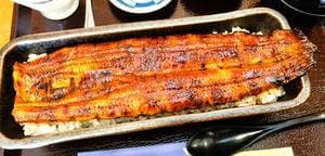 四万十うなぎ富貴亭