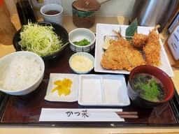 なのはなぐみ かつ菜 保田店