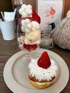 たべものと日用品 WAO