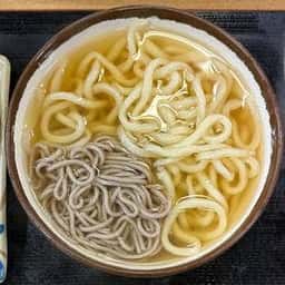 さか枝うどん 南新町店